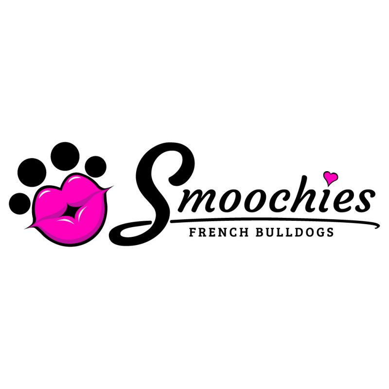 Smoochies Logo Design | Graphic Design | Annette Frei